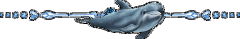 dauphin