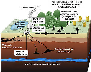 Représentation schématique de certains moyens de stocker le dioxyde de carboneillustration: Wikipédia