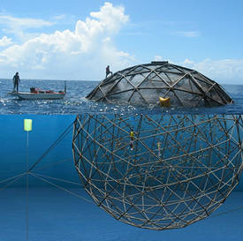 aquapod
