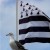 cropped-drapeau-mouette_tres_petite (1)