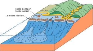 schéma:2.ggl.ulaval.ca