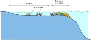 schéma2.ggl.ulaval.ca