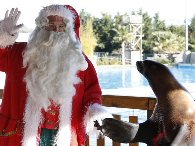 photohttp://noel.canoe.ca/