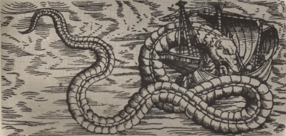 9c9f01_cba2ff9f284f429f464b6098443cb83b