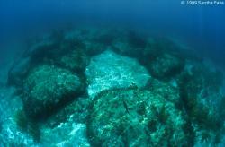 bimini05