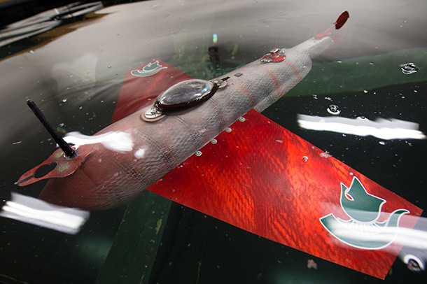 Blog_Humanoides_Fr_grace_robot_poisson_pic1