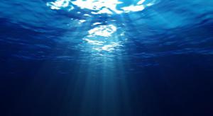 Image:archipeldessciences.wordpress.com