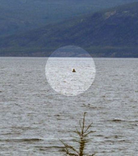 Sur cette photo, le monstre du lac Labynkyr, en Sibérie, aurait sorti sa tête de l’eau