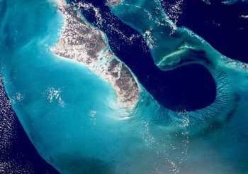 Vue satellite de la « langue de l’océan »