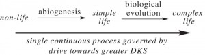 Illus-evolution-300x81