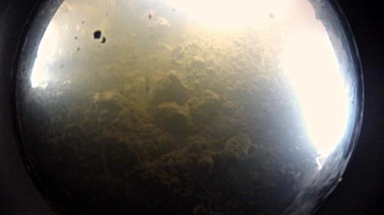 http://actualite.portail.free.fr/sciences/14-02-2013/la-vie-prospere-dans-le-lac-whillans-sous-800-metres-de-glace/