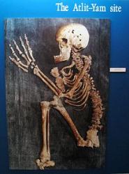 alit-yam-human-skeleton