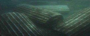 images (1)