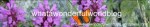 whatawonderfulworld (1)