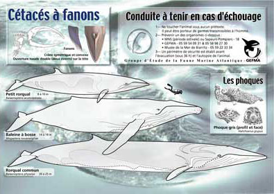 crédit: technofuture.canalblog.com/